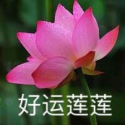 苍炎异闻录官方版下载